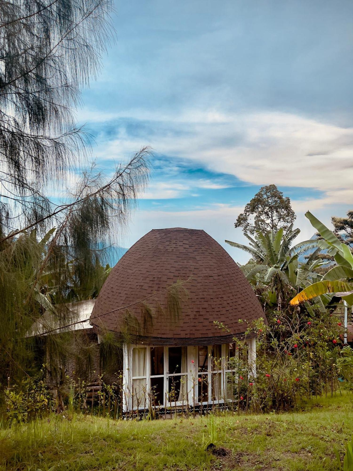 Manulalu Jungle Hotel Bajawa Kültér fotó